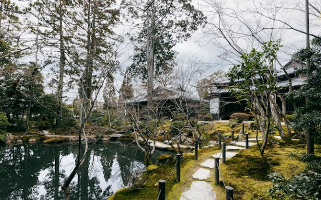 how-to-include-pond-in-your-garden-and-don-t-make-it-look-messy