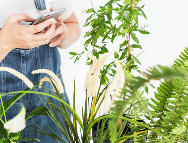 top-5-apps-for-garden-design